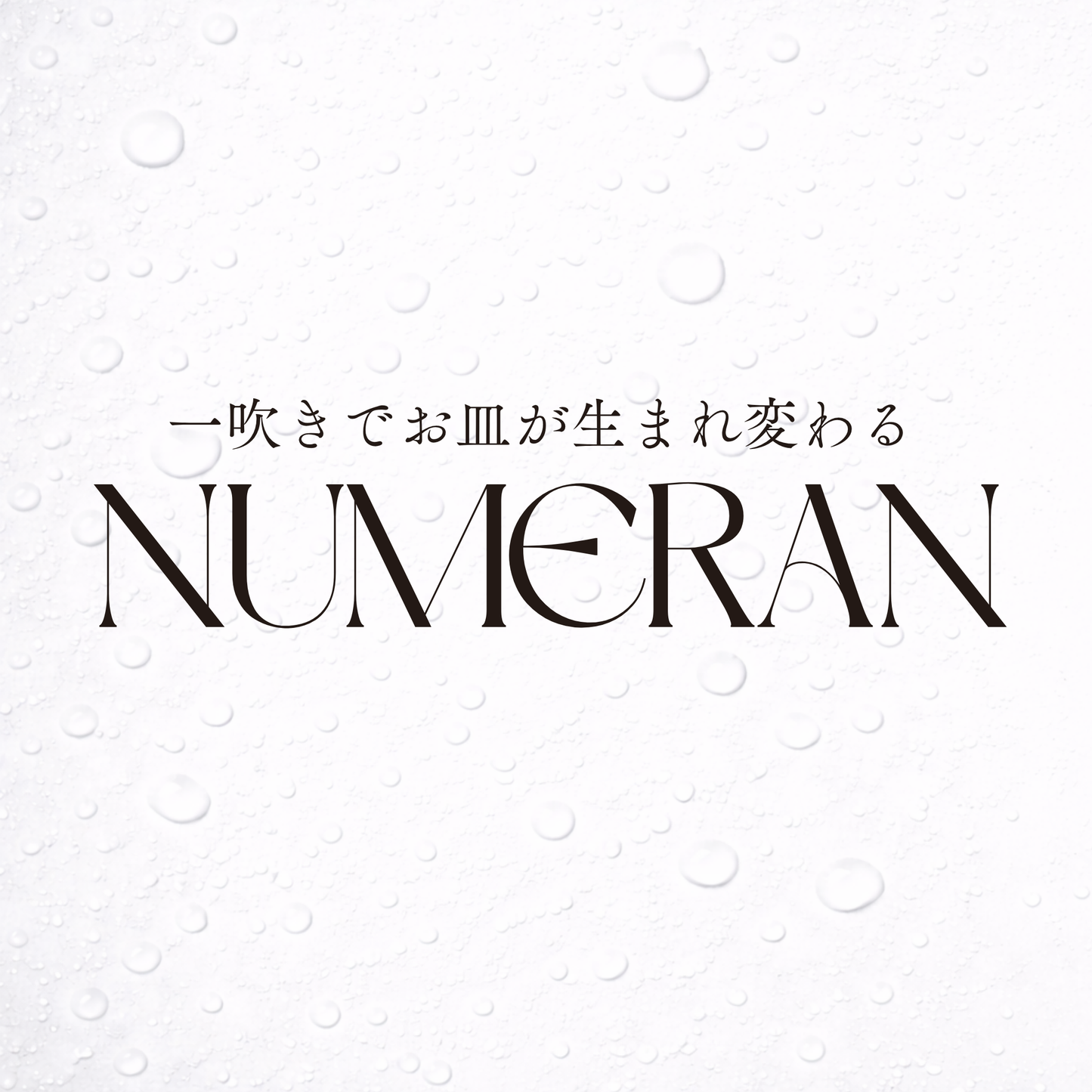 NUMERAN(ペット用食器洗浄液)【30ml】