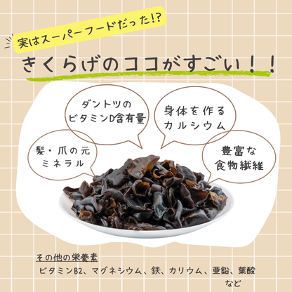 ITSUKI‐樹‐　【乾40ｇ】